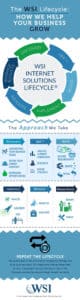 WSI infographic